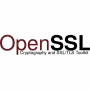 OpenSSL логотип
